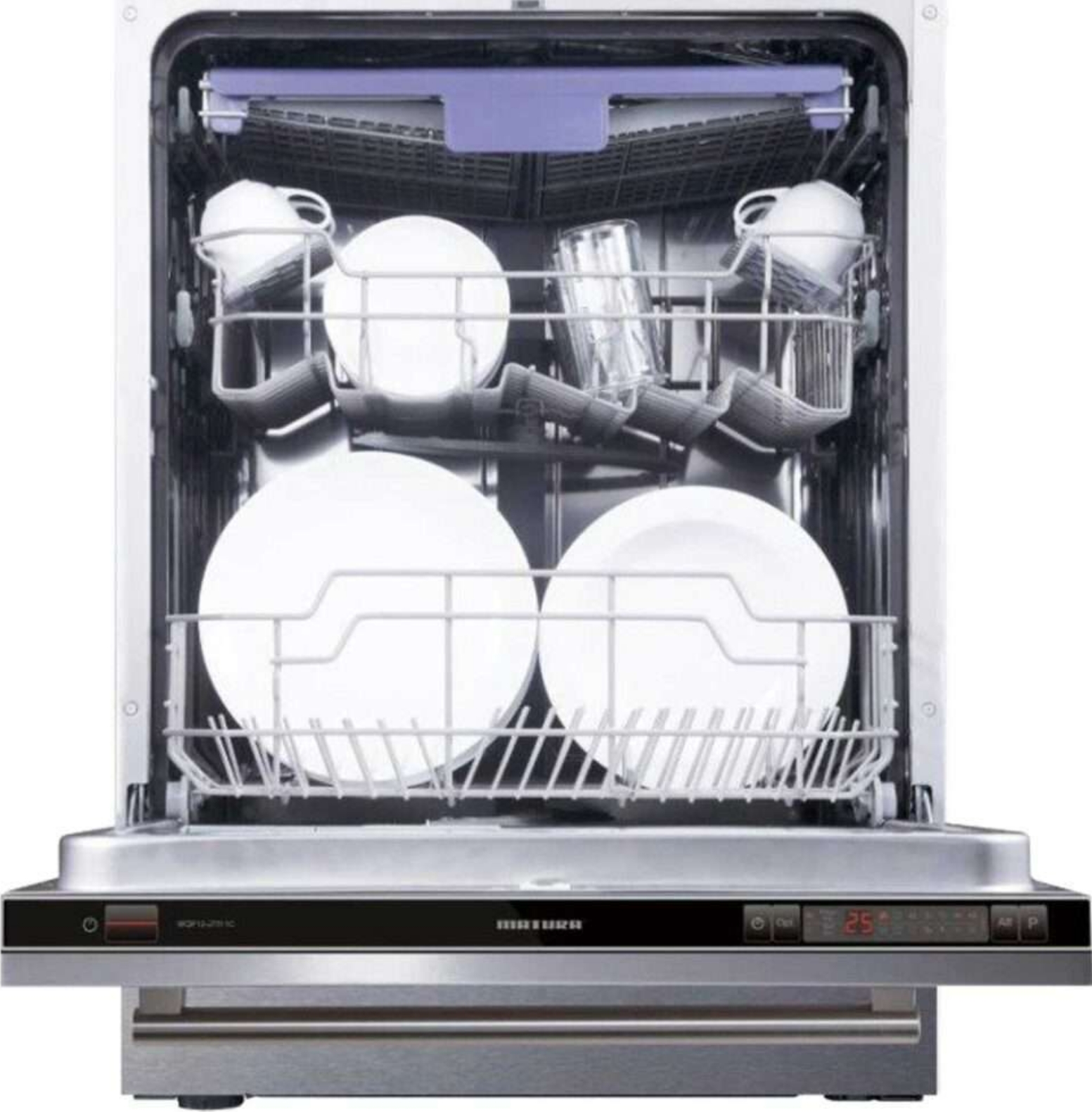 DISHWASHER IMG 2